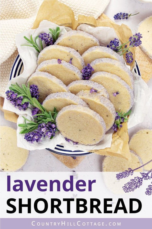 Culinary Lavender - R&B Lavender