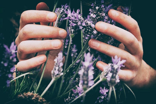 Lavender and Mental Health: How Its Scent Can Help Reduce Stress and Anxiety - R&B Lavender