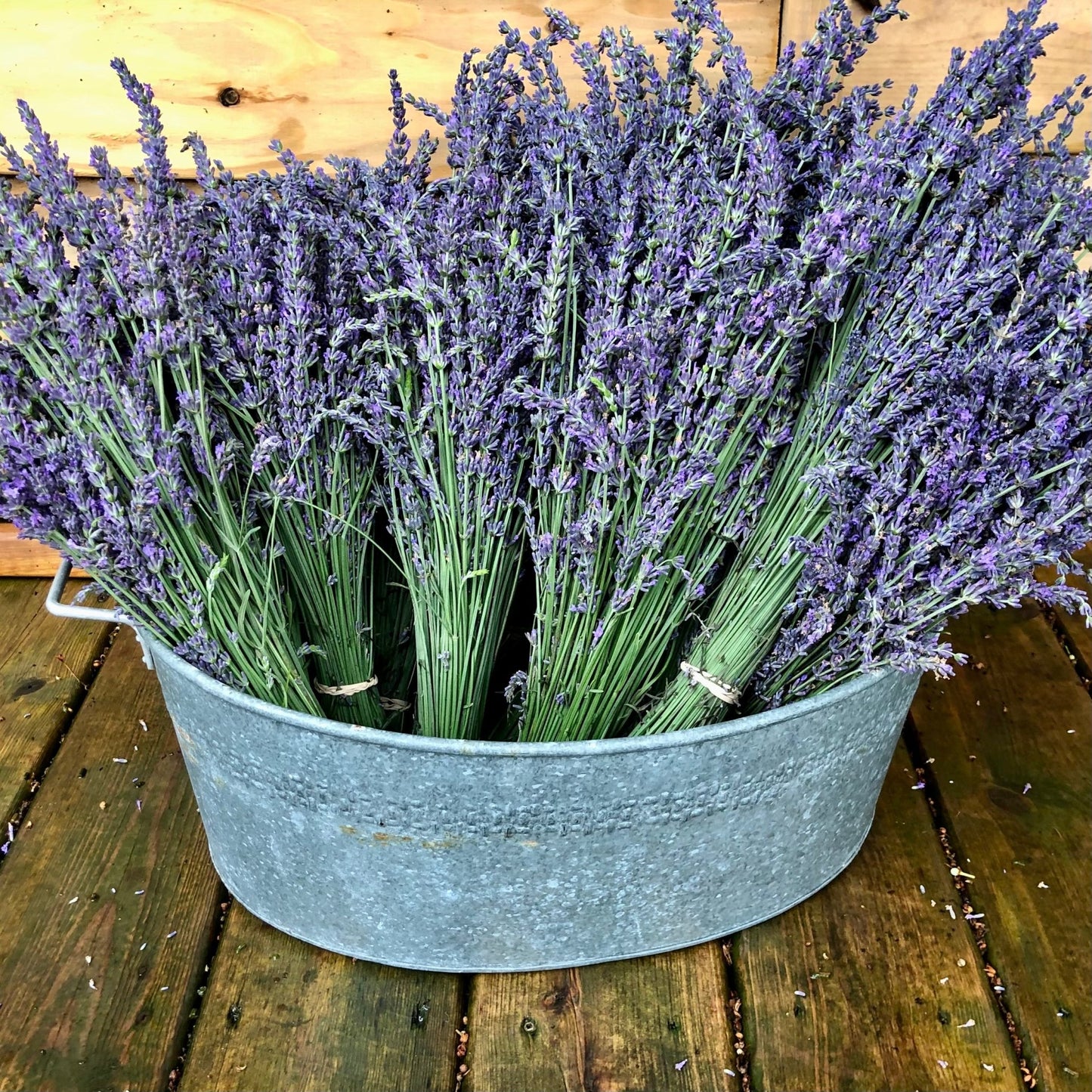 Lavender Bundle (Fresh) - R&B Lavender