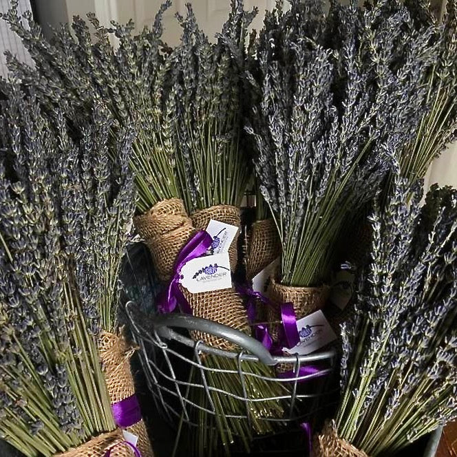 Lavender Bundle (Dried) - R&B Lavender