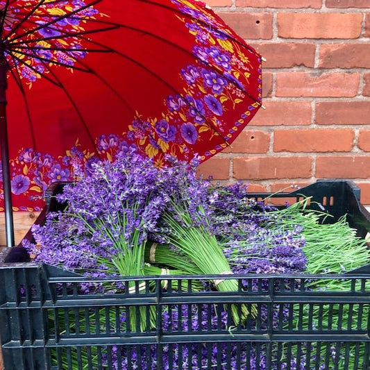 Lavender Bundle (Fresh) - R&B Lavender