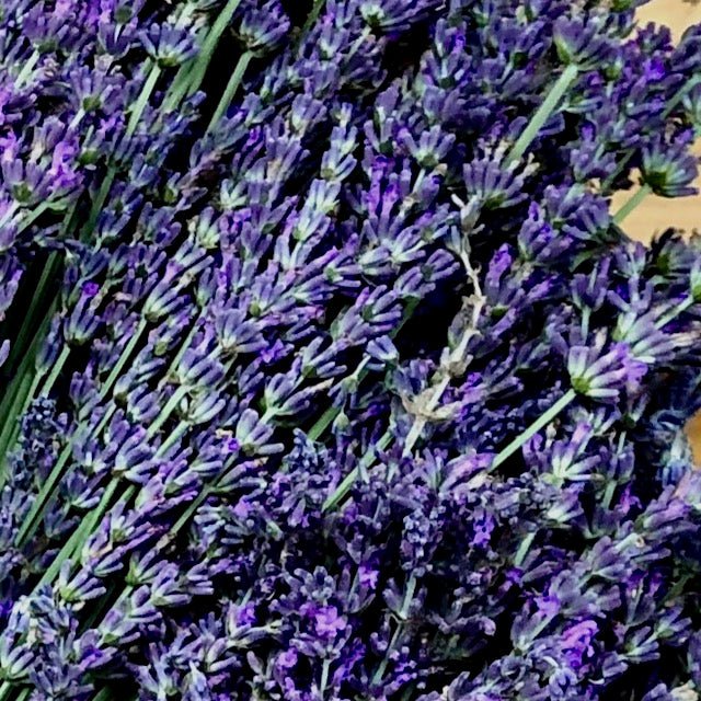 Lavender Bundle (Fresh) - R&B Lavender