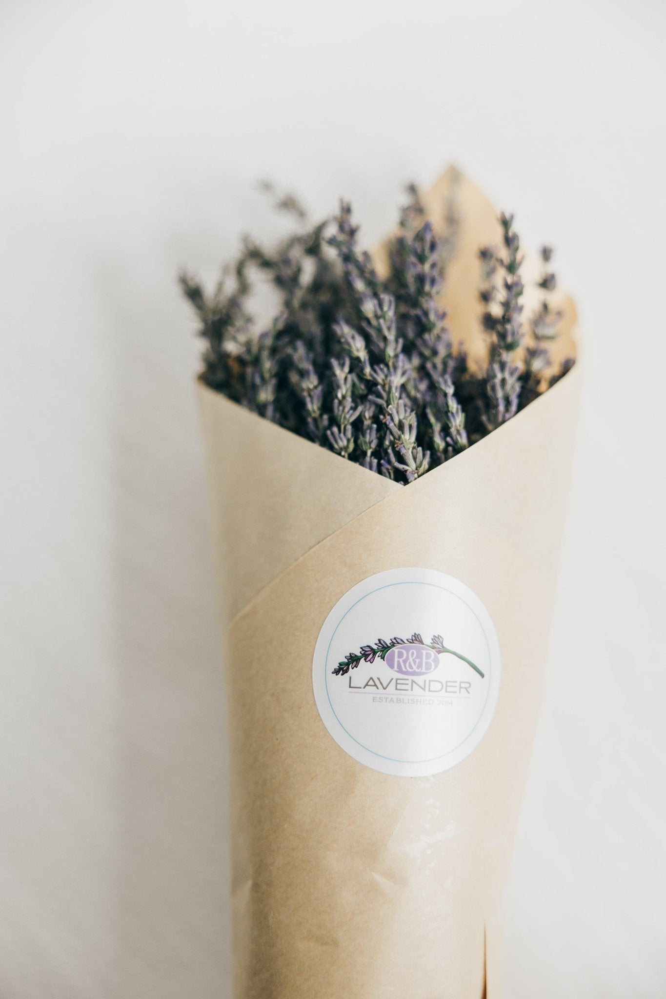 Lavender Bundle (Dried) - R&B Lavender