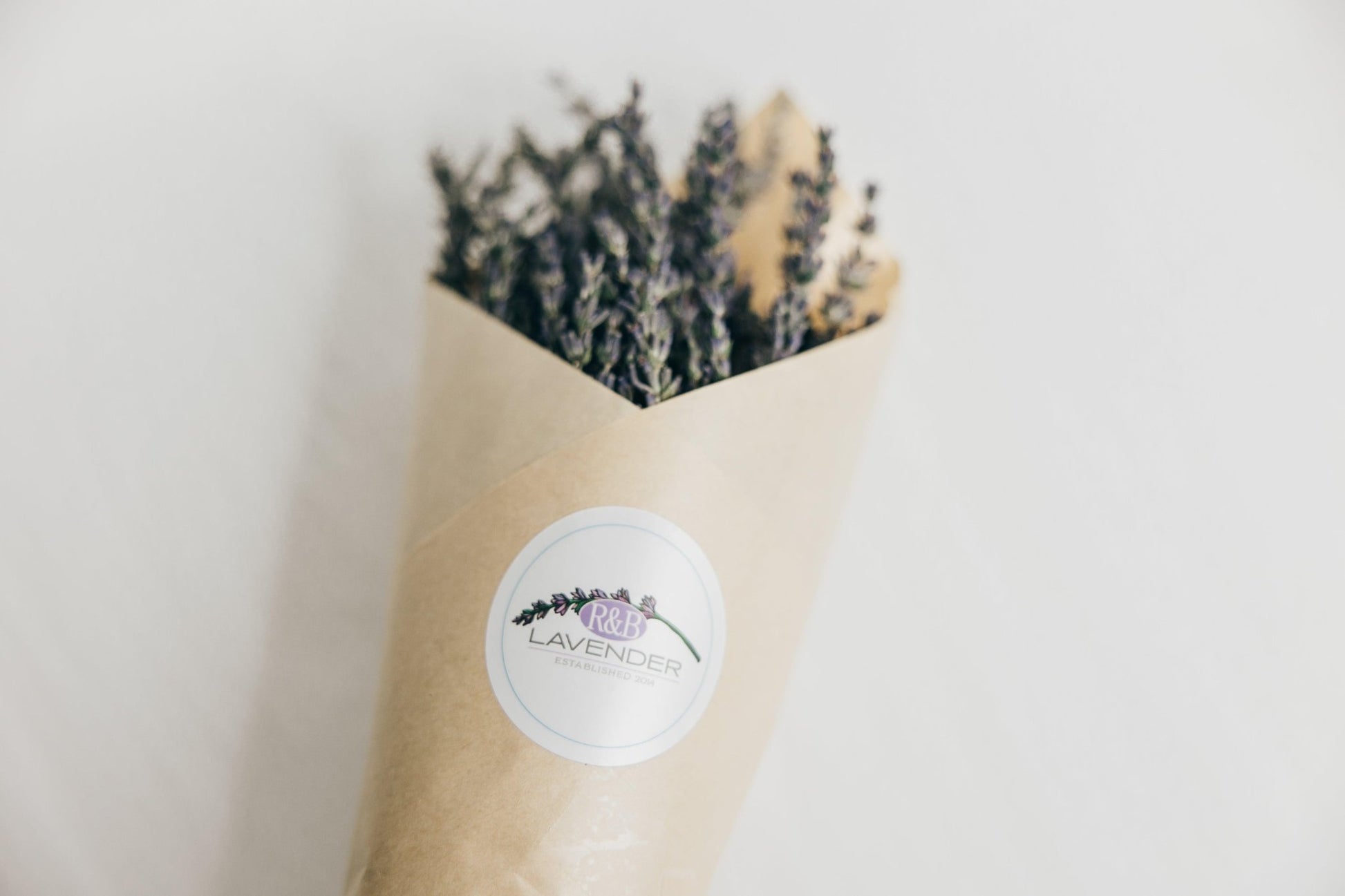 Lavender Bundle (Dried) - R&B Lavender